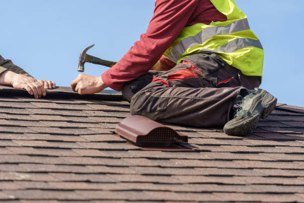 Best Gutter Installation and Roofing  in Davie, FL