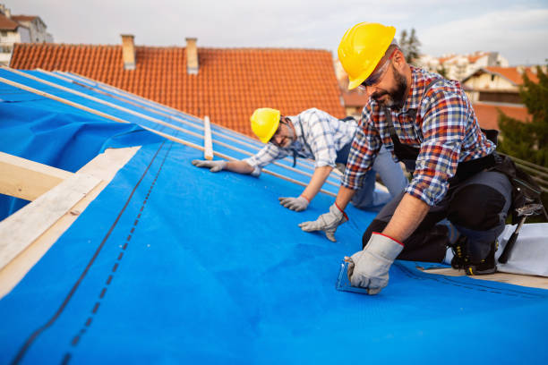Best New Roof Installation  in Davie, FL