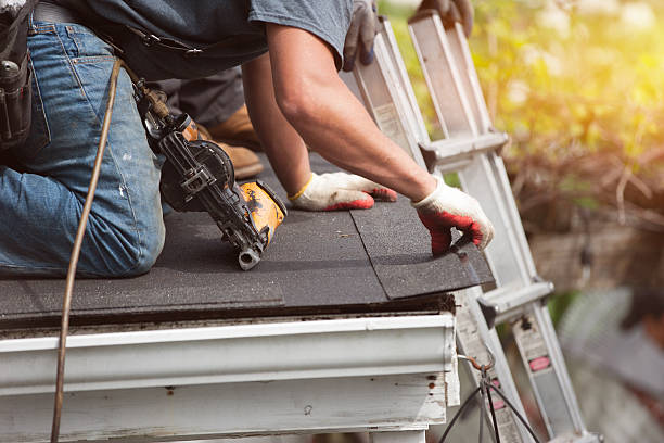 Best Roof Waterproofing Services  in Davie, FL